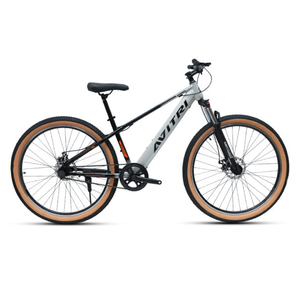 Magnite-29 Single Speed Disc Brake  Adult-Mountain Cycle-Silver