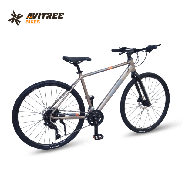 EV99-700C Single Speed Rigid Fork V Brakes Non IBC Grey 700 Adult-Hybrid Cycle - Image 2
