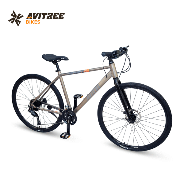 EV99-700C Single Speed Rigid Fork V Brakes Non IBC Grey 700 Adult-Hybrid Cycle - Image 3